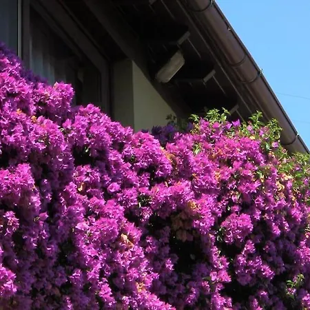 Apartman La Palma *